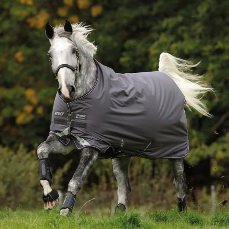 Amigo Bravo 12 Lite Turnout Rug - Excal/Plum/Silver
